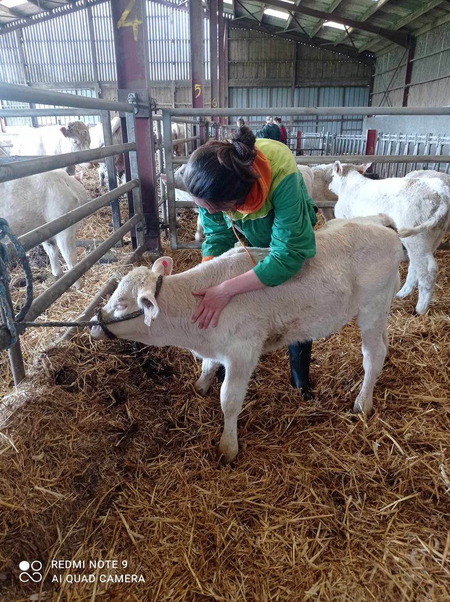 Carole Gautier au contact d'un cheval lors d'une séance d'ostéopathie