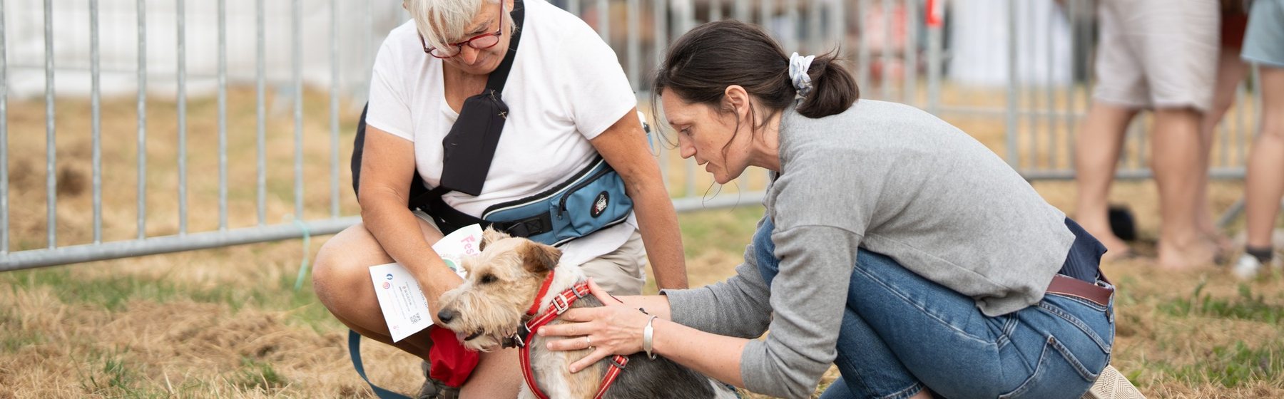 Carole Gautier en intervention auprès d'un chien lors d'un événement en Vendée