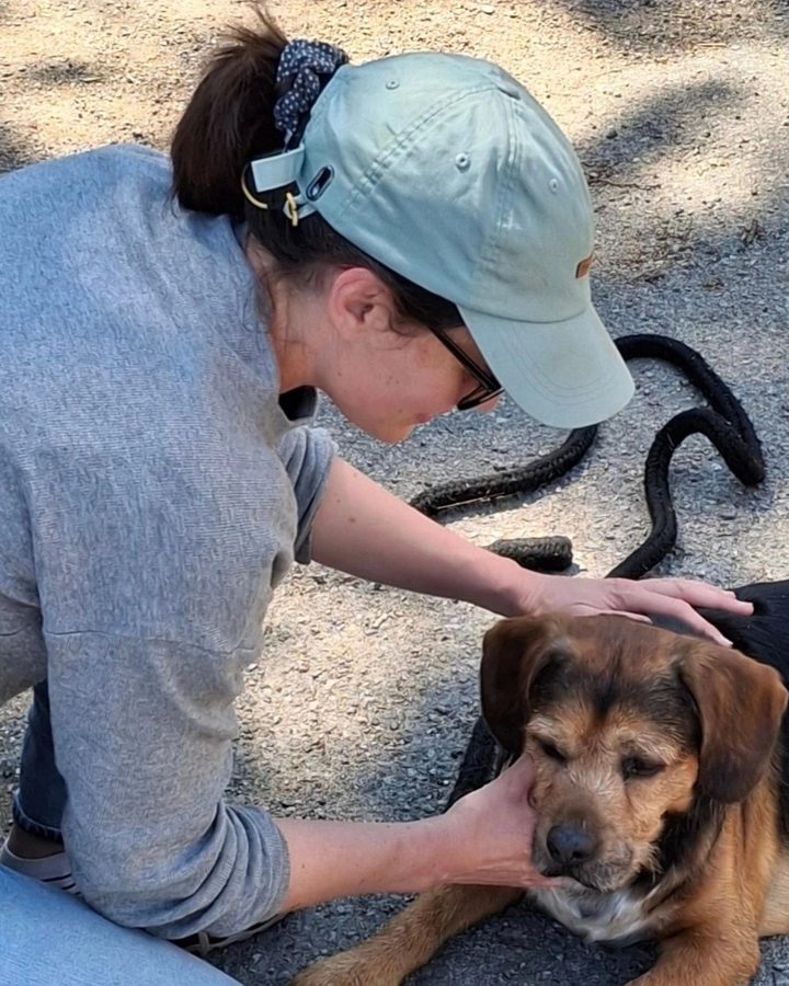 Carole Gautier prend soin d'un chien âgé avec douceur