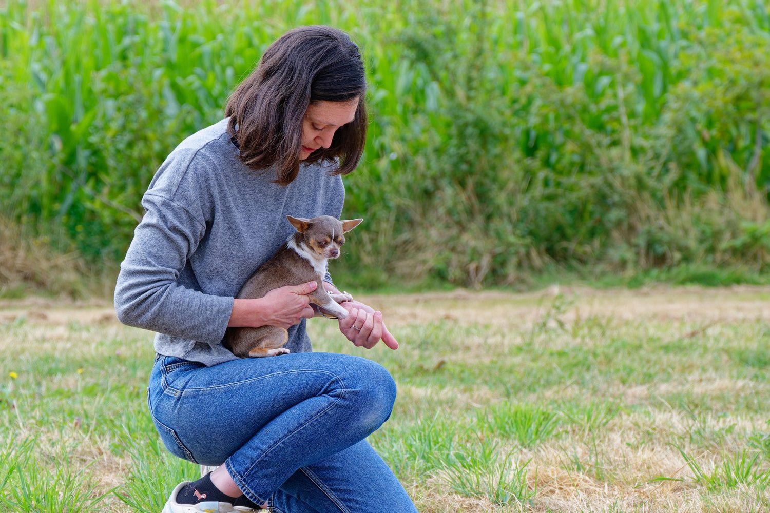 Carole Gautier prend soin d'un chiot lors d'une séance d'ostéopathie en Vendée