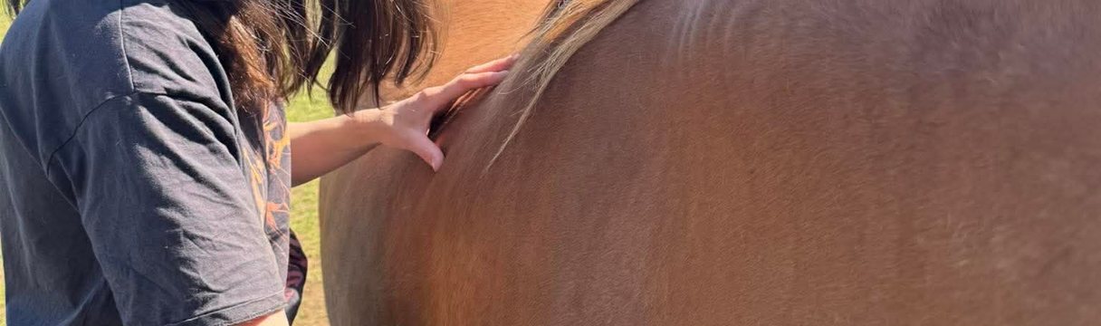 Carole Gautier réalise des manipulations douces sur un cheval