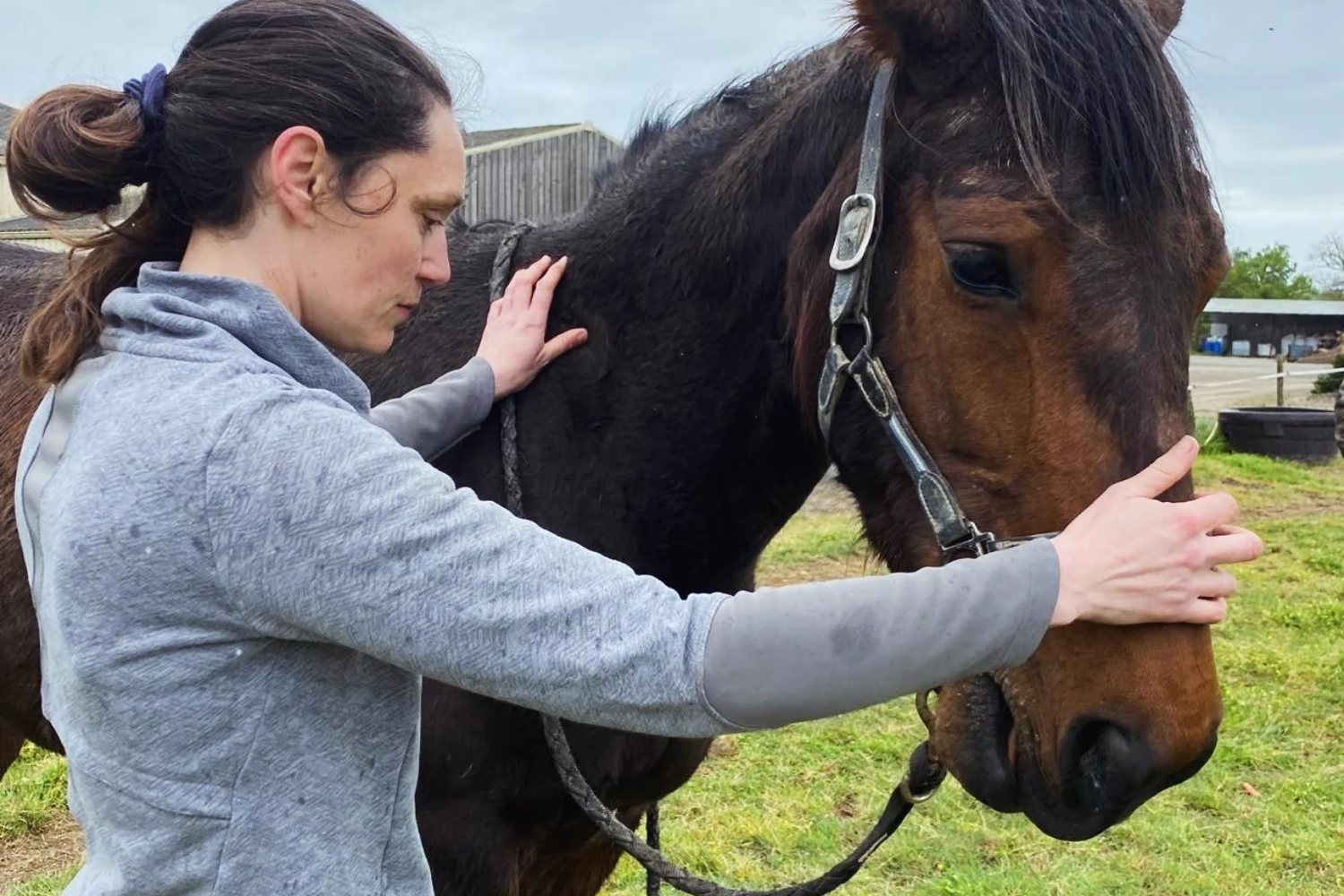 Carole Gautier réalise une séance d'ostéopathie sur un cheval en Vendée