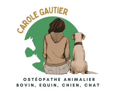 Carole Gautier — Ostéopathe animalier aux Sables d'Olonne