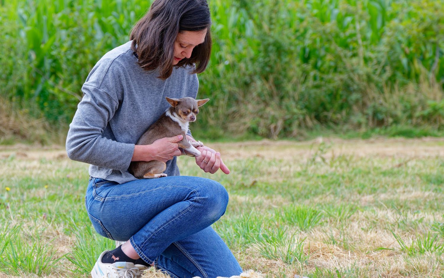 Carole Gautier auprès d'un animal à domicile en Vendée